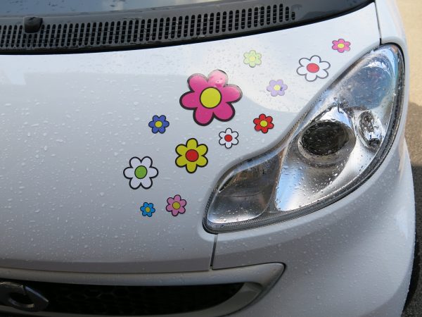 30 Funky Daisy Stickers - Image 14