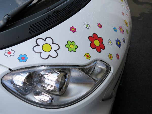 30 Funky Daisy Stickers - Image 4